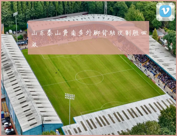 山东泰山费南多外脚背助攻制胜回放