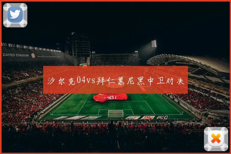 沙尔克04vs拜仁慕尼黑中卫对决