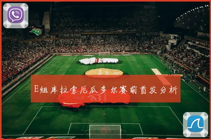 E组库拉索厄瓜多尔赛前首发分析