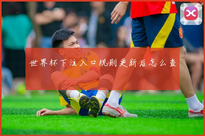 世界杯下注入口规则更新后怎么查