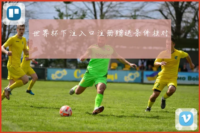 世界杯下注入口注册赠送条件核对