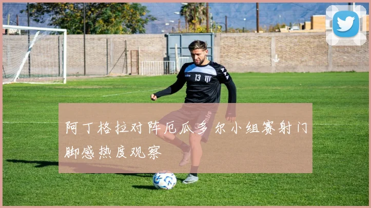 阿丁格拉对阵厄瓜多尔小组赛射门脚感热度观察