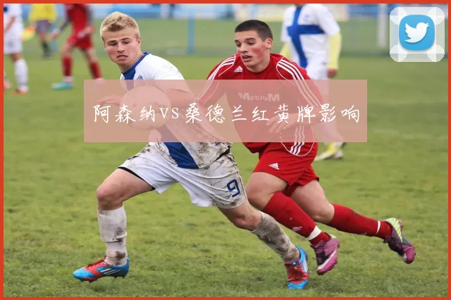 阿森纳vs桑德兰红黄牌影响