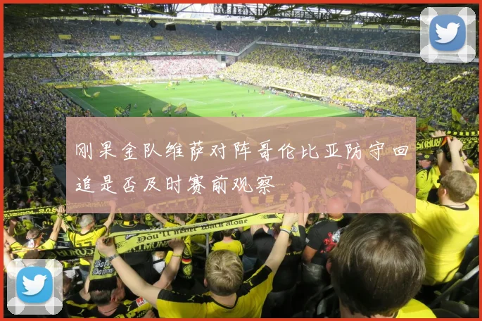 刚果金队维萨对阵哥伦比亚防守回追是否及时赛前观察